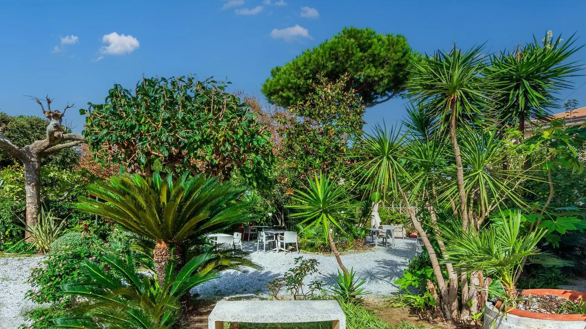 Hotel Mariotti Lido di Camaiore Italy